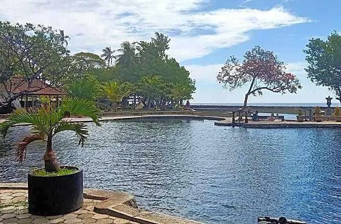 Palm ホテル