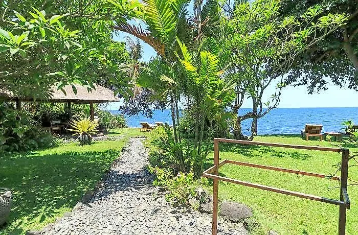 Palm 2*